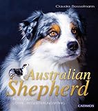 Australian Shepherd: Intelligent, loyal, begeisterungsfähig