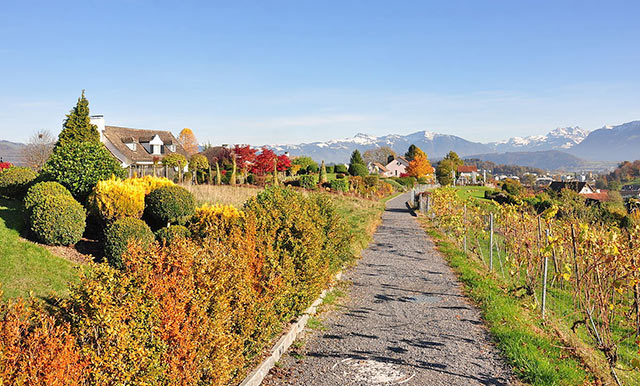 Herbsturlaub mit Hund in der Schweiz